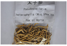 Pseudostellaria heterophylla (Miq.)Pax ex Pax et Hoffm